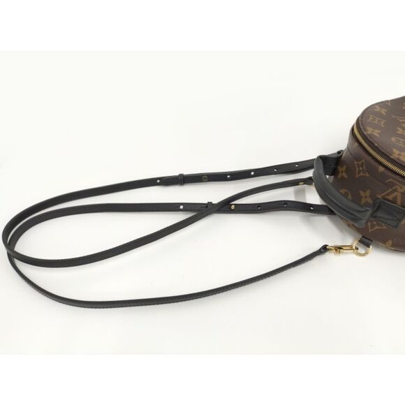 Louis Vuitton Rucksack Palm Springs Backpack Mini Monogram - Picture 5 of 10